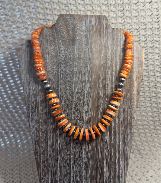 Orange Spiny Statement